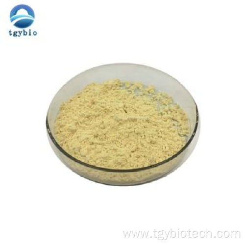 Wholesale Organic Kombucha Tea Extract Powder